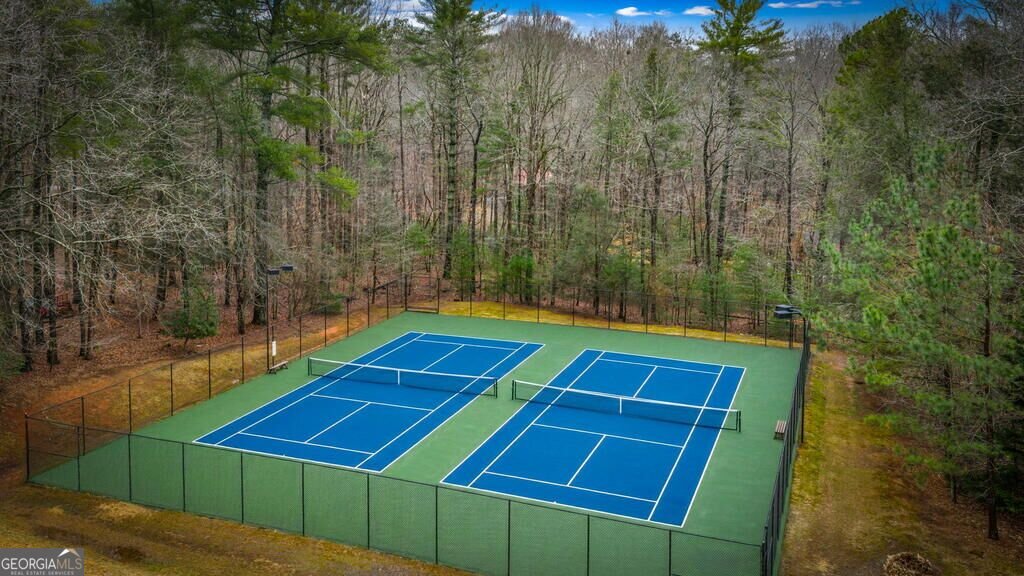 40 Varix Court Ellijay - Photo 149
