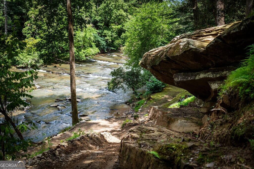 40 Varix Court Ellijay - Photo 68