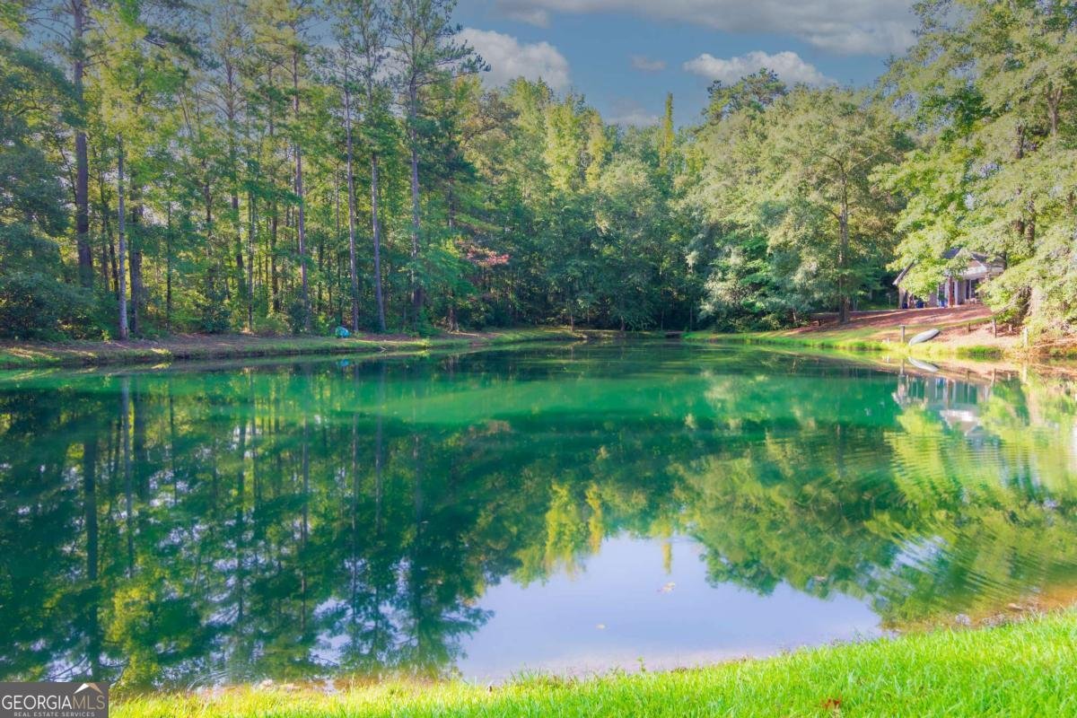 253 Price Road Pine Mountain - Photo 63
