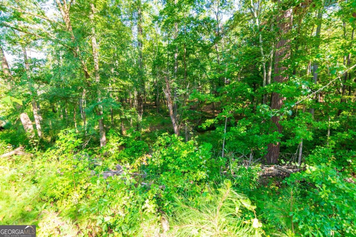 253 Price Road Pine Mountain - Photo 75