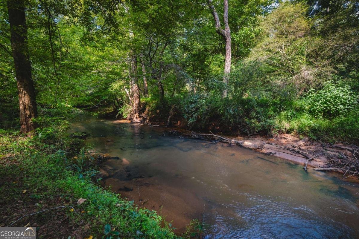 2235 Sugarbirch Drive Lawrenceville - Photo 47