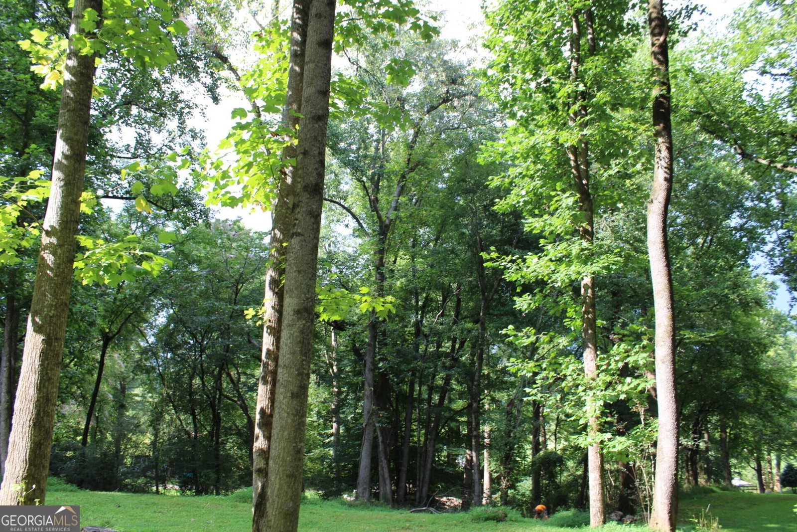 73 Arthur Anderson Road Dahlonega - Photo 43