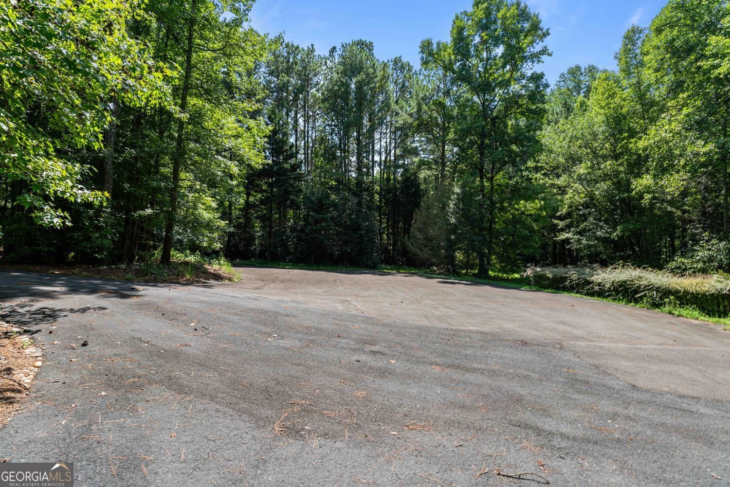 1539 Jep Wheeler Road Woodstock - Photo 70