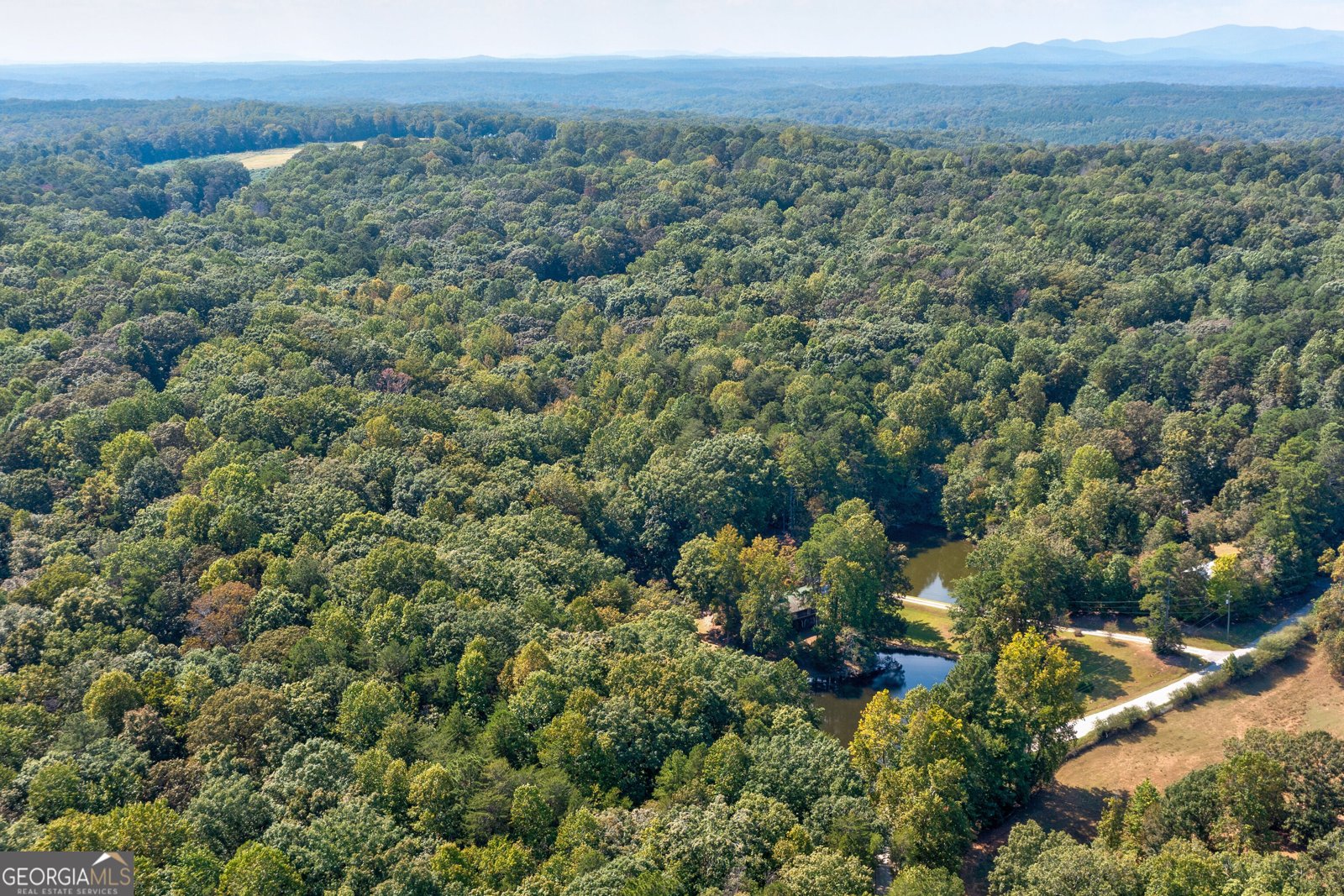 434 Mill Creek Drive Dawsonville - Photo 10