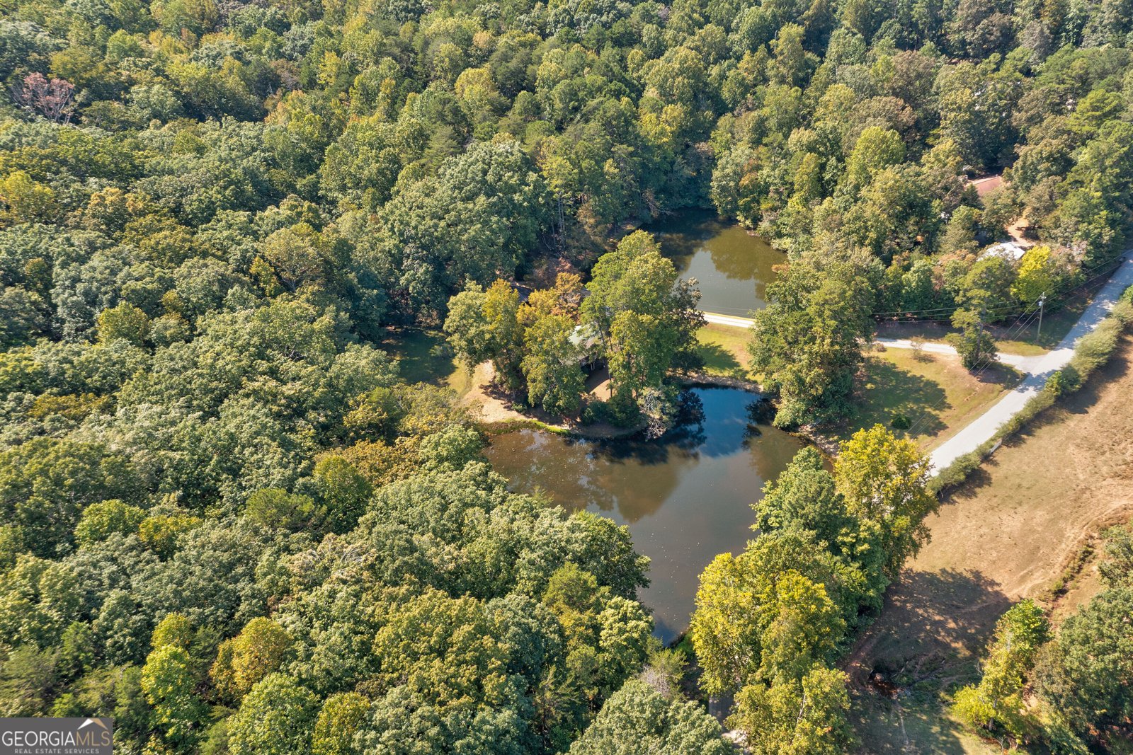 434 Mill Creek Drive Dawsonville - Photo 11