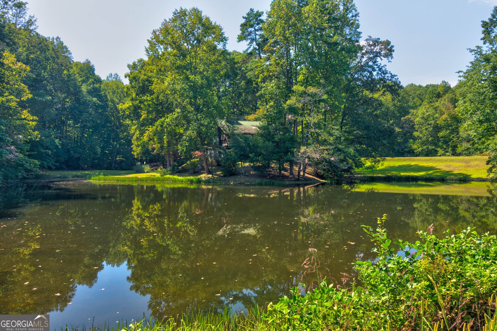 434 Mill Creek Drive Dawsonville - Photo 15