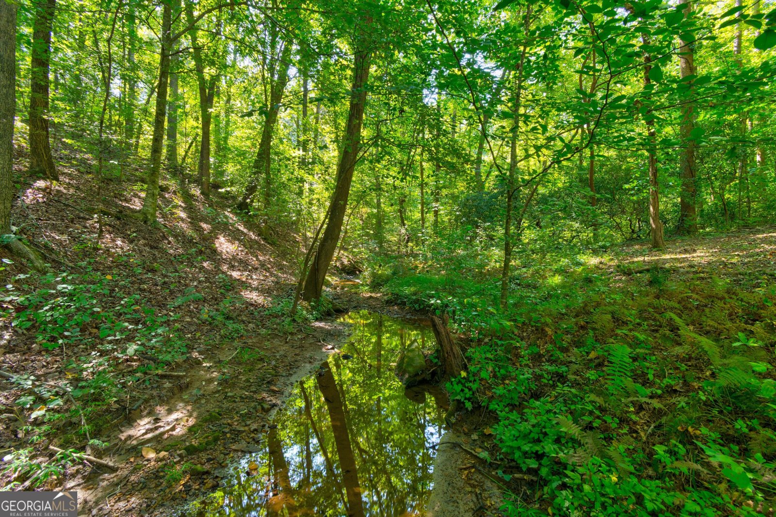 434 Mill Creek Drive Dawsonville - Photo 60