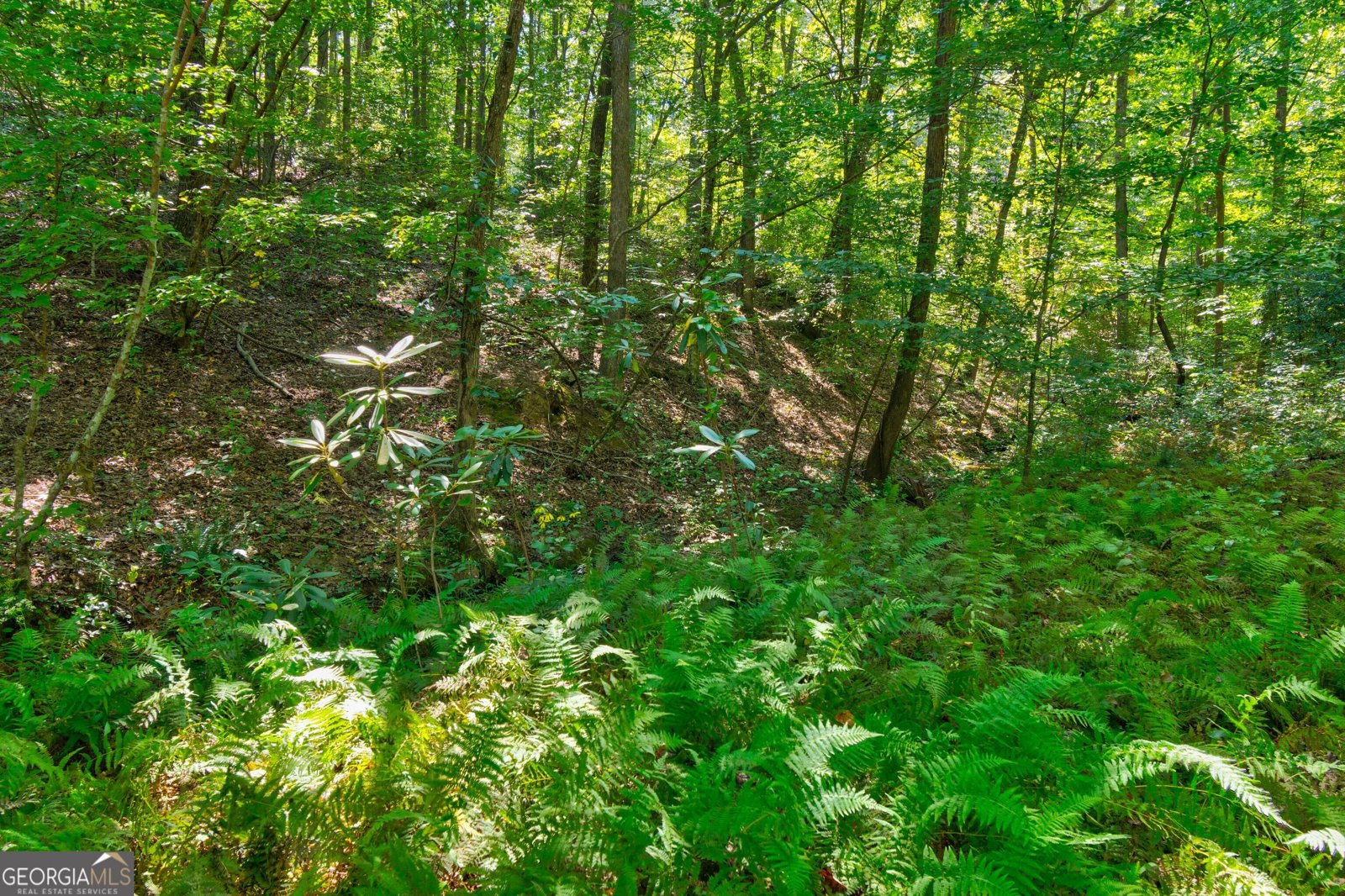 434 Mill Creek Drive Dawsonville - Photo 61