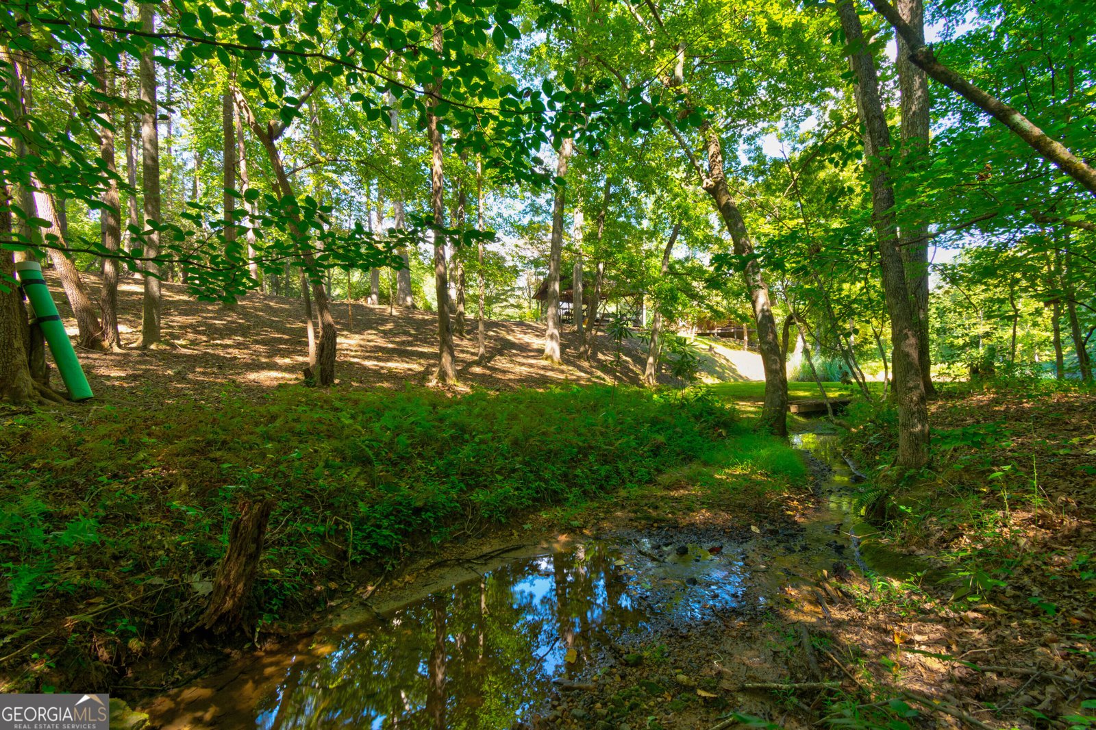 434 Mill Creek Drive Dawsonville - Photo 62