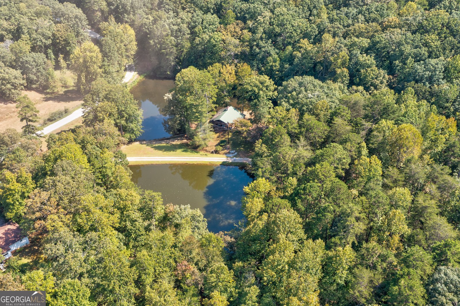 434 Mill Creek Drive Dawsonville - Photo 8