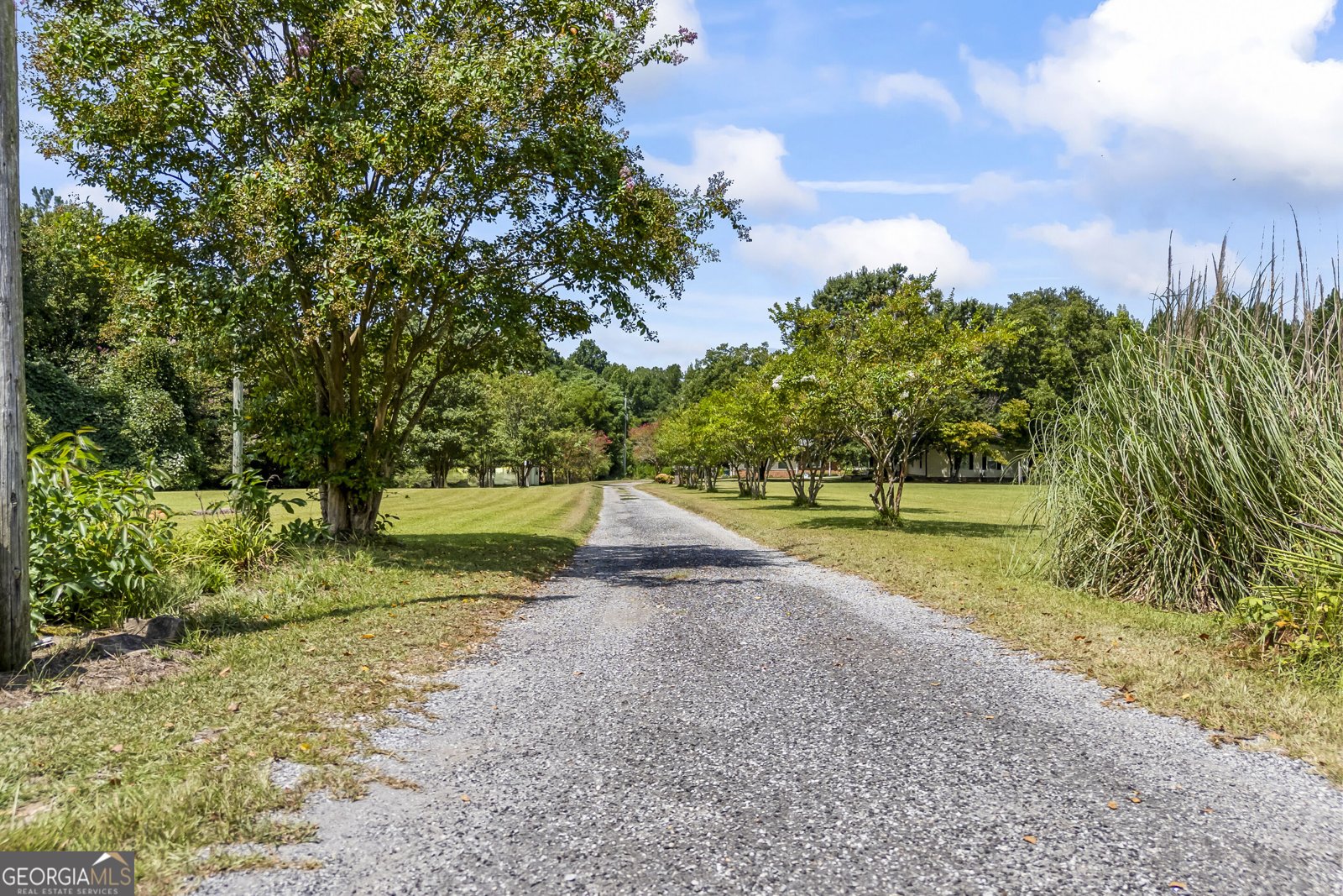 1351 Clack Road Madison - Photo 9