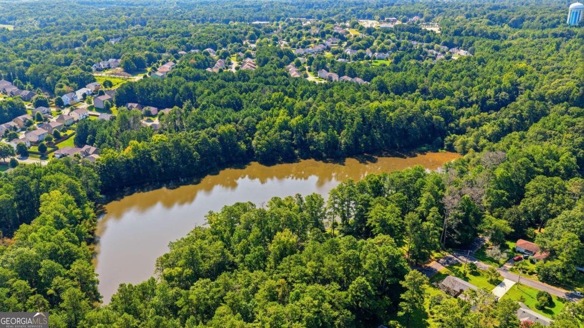 169 Robinhood Drive Newnan - Photo 49