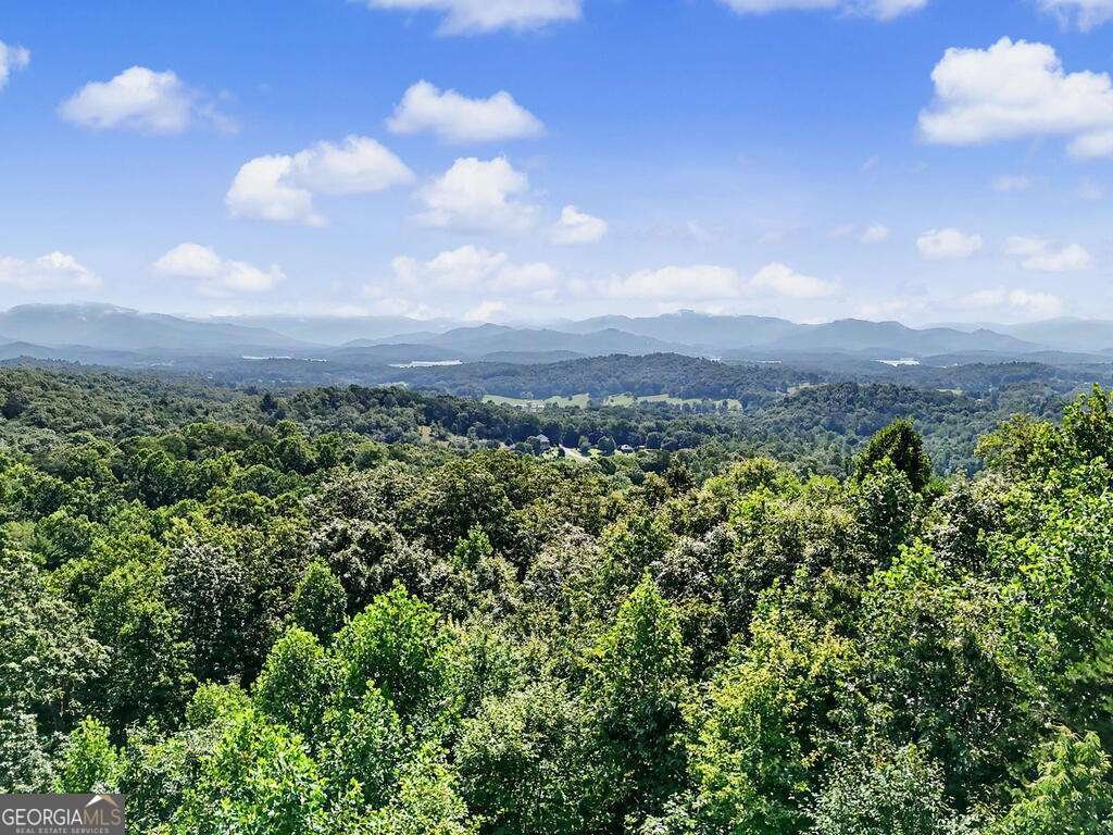 575 Longview Drive Hayesville - Photo 36