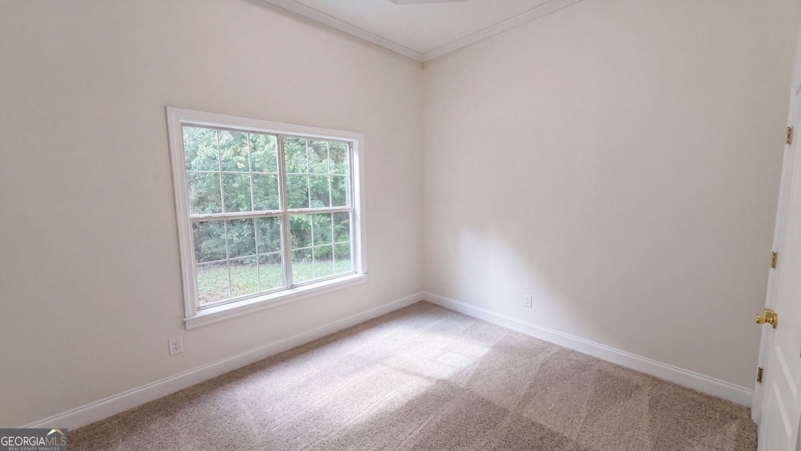 225 Berkshire Pass Covington - Photo 11