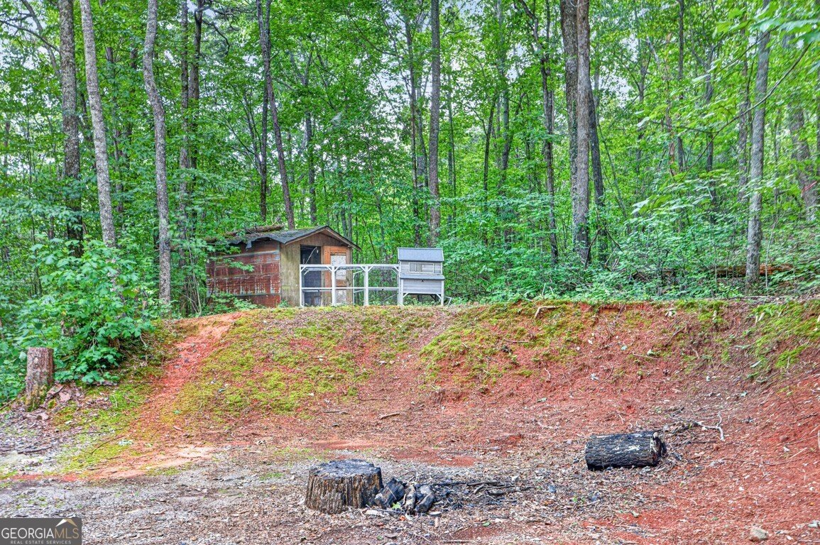 189 Fern Valley Road Dawsonville - Photo 25