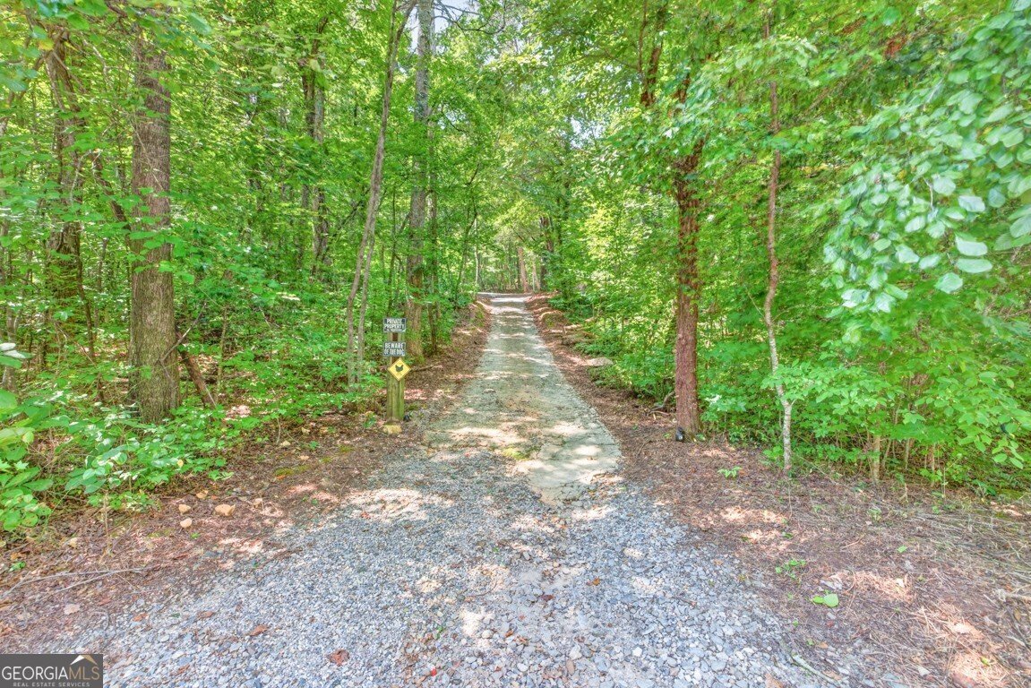 189 Fern Valley Road Dawsonville - Photo 29