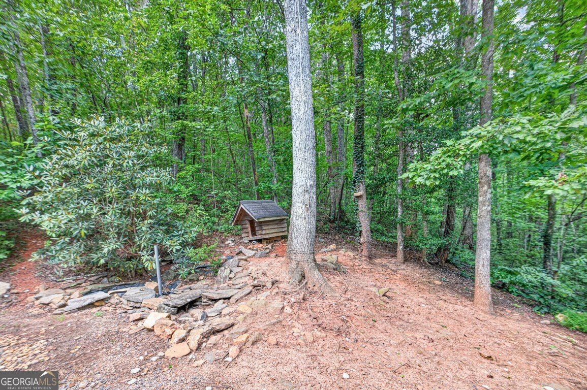 189 Fern Valley Road Dawsonville - Photo 33
