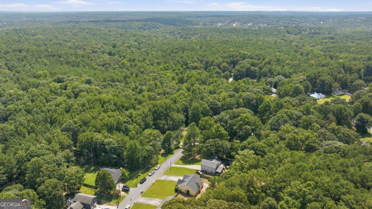 2110 Uniwattee Trail Dacula - Photo 39