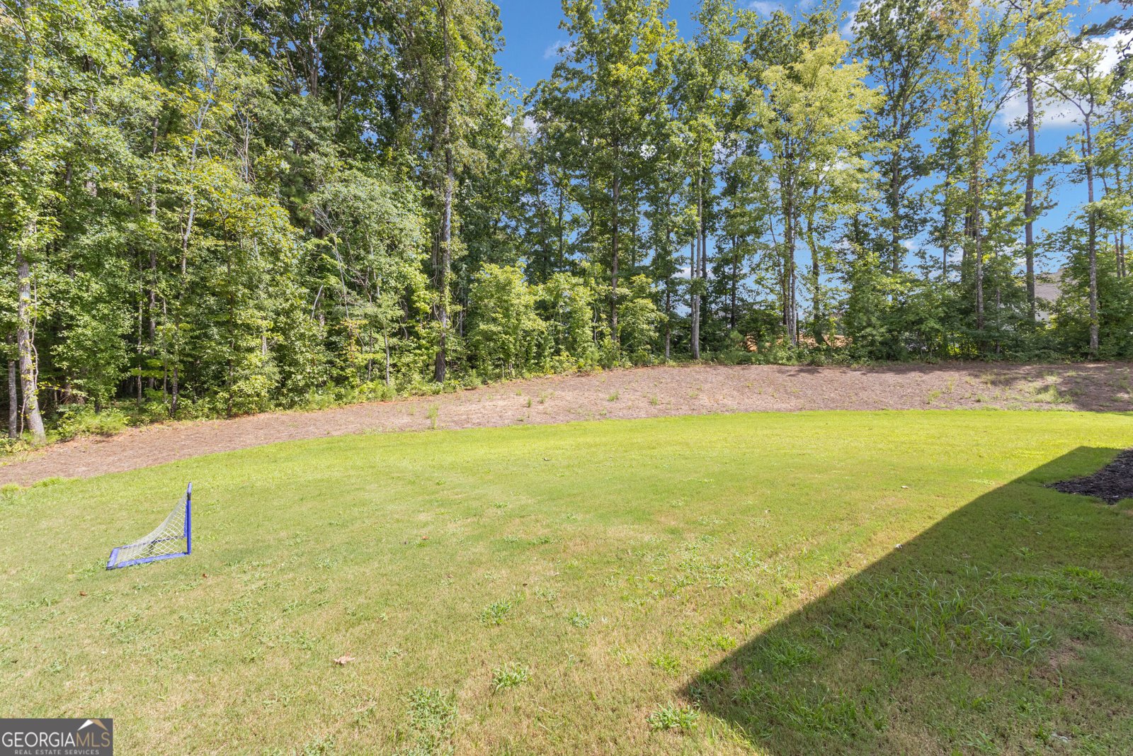215 Greyfairs Avenue Senoia - Photo 68