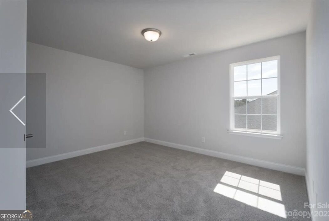 203 Blackberry Court Pendergrass - Photo 22