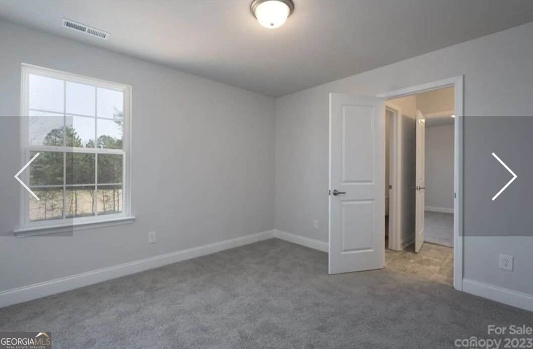 203 Blackberry Court Pendergrass - Photo 23