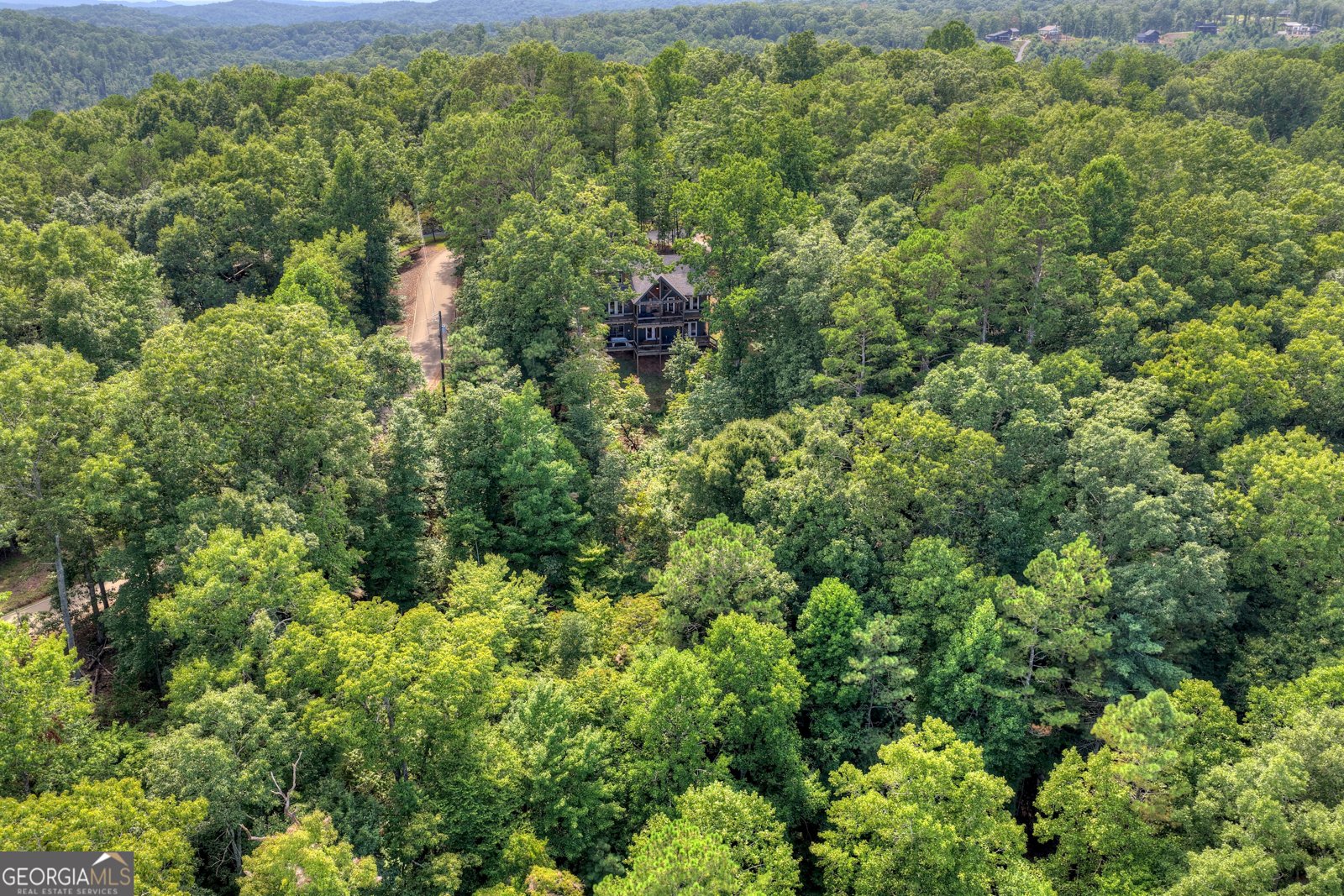 518 Mango Lane Ellijay - Photo 53