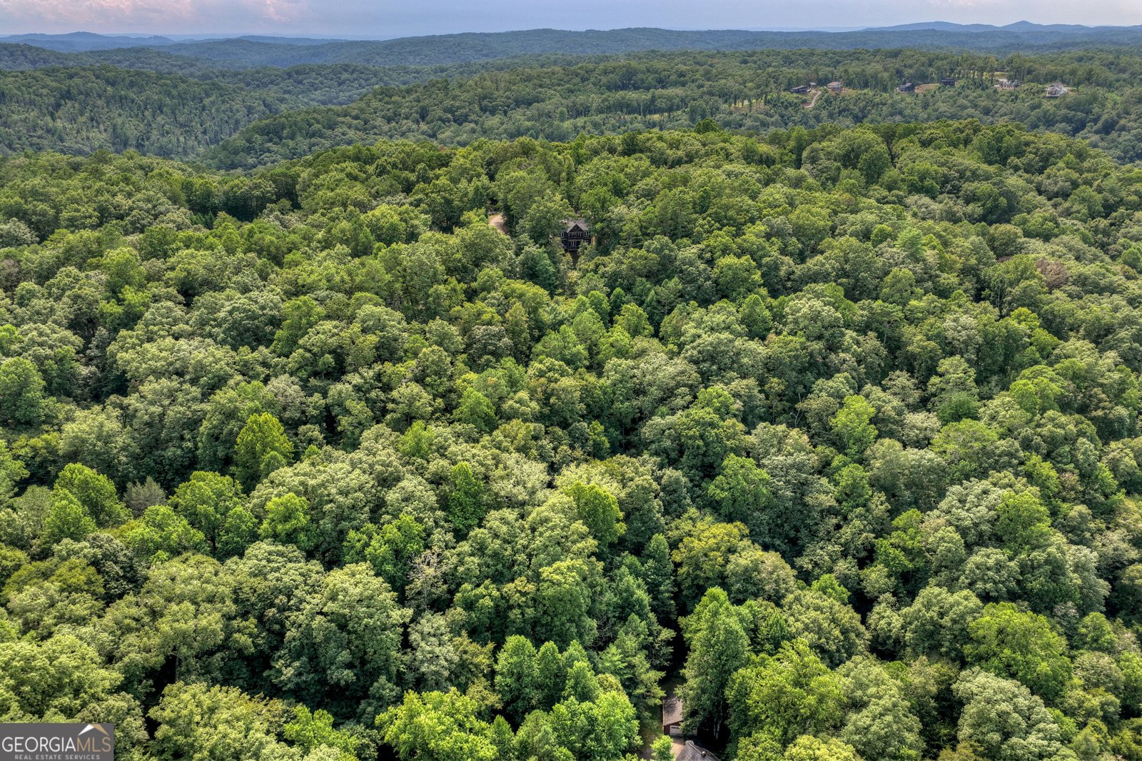 518 Mango Lane Ellijay - Photo 54