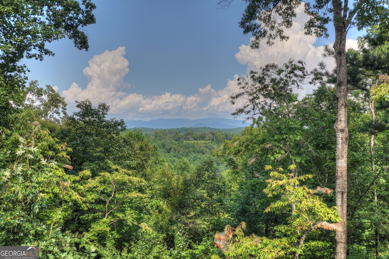 518 Mango Lane Ellijay - Photo 58