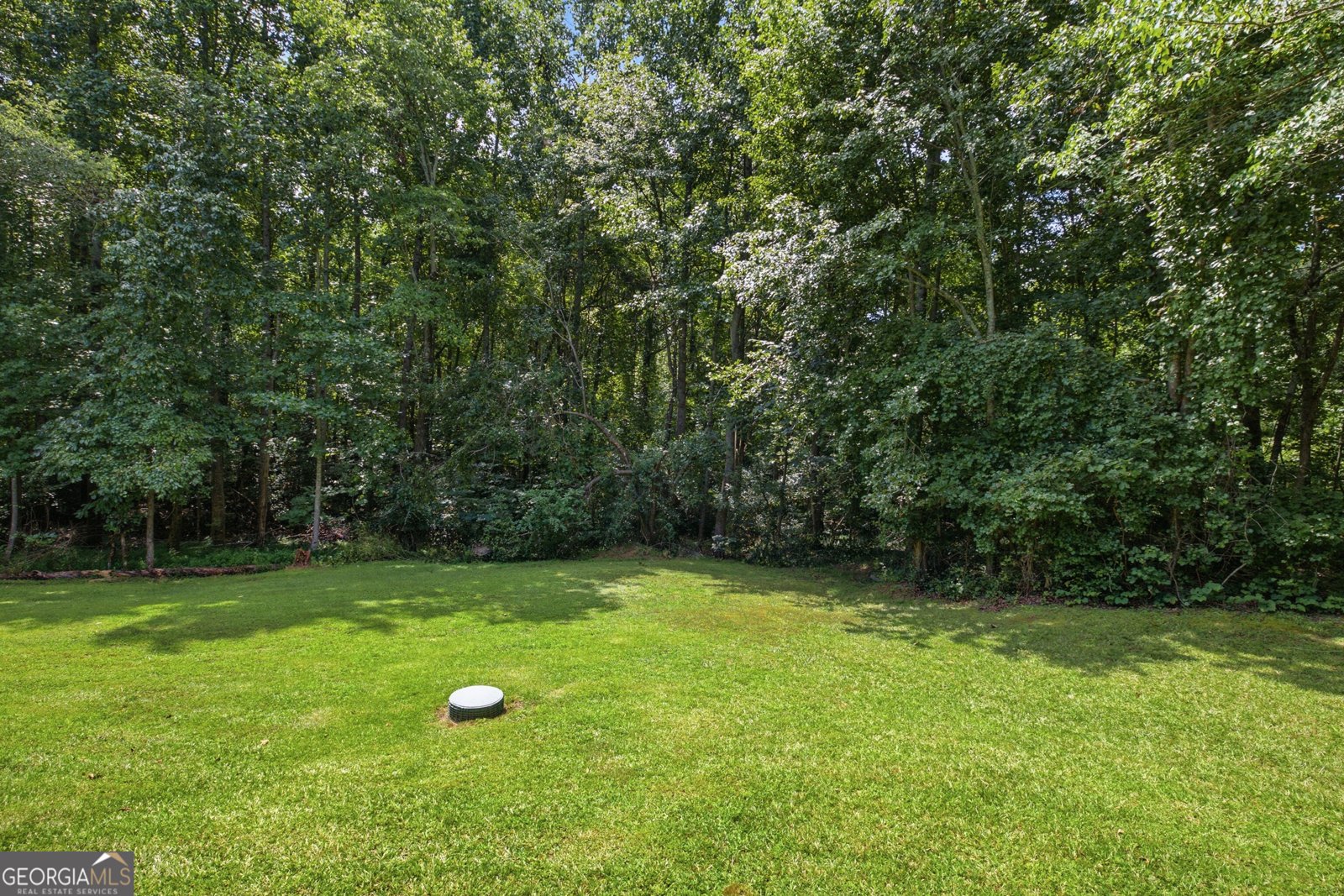 2600 Level Grove Road Cornelia - Photo 36