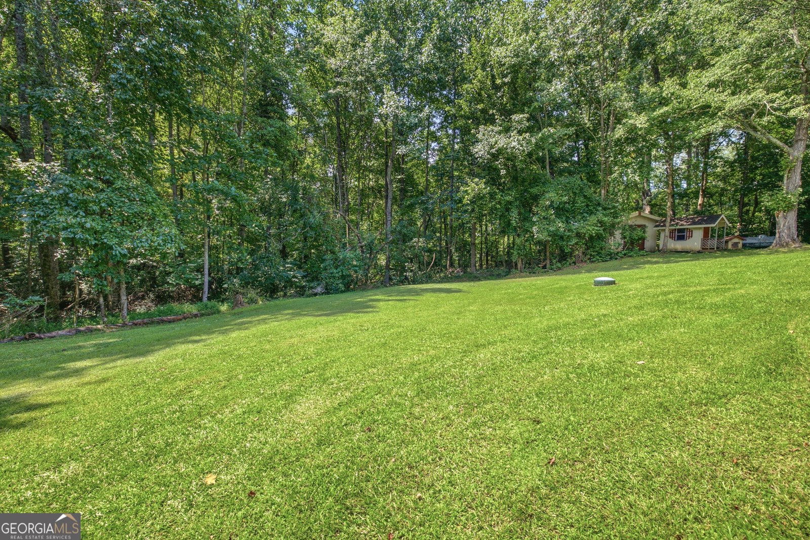2600 Level Grove Road Cornelia - Photo 37