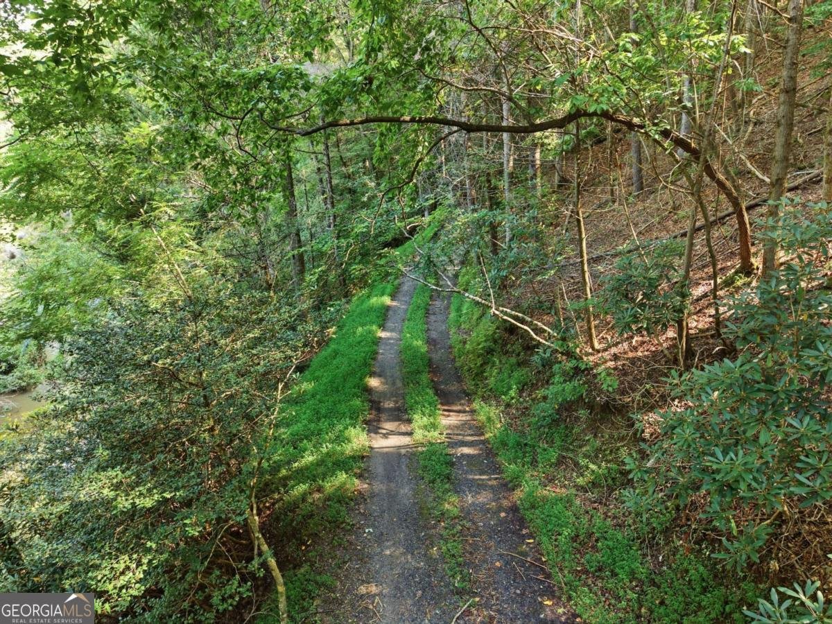 259 Sutton Ridge Way Ellijay - Photo 37