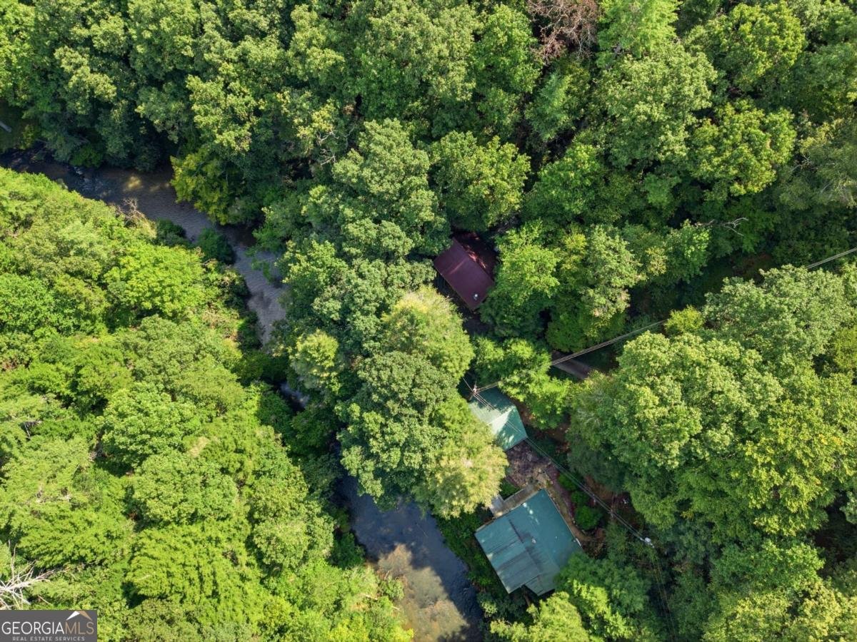 259 Sutton Ridge Way Ellijay - Photo 38