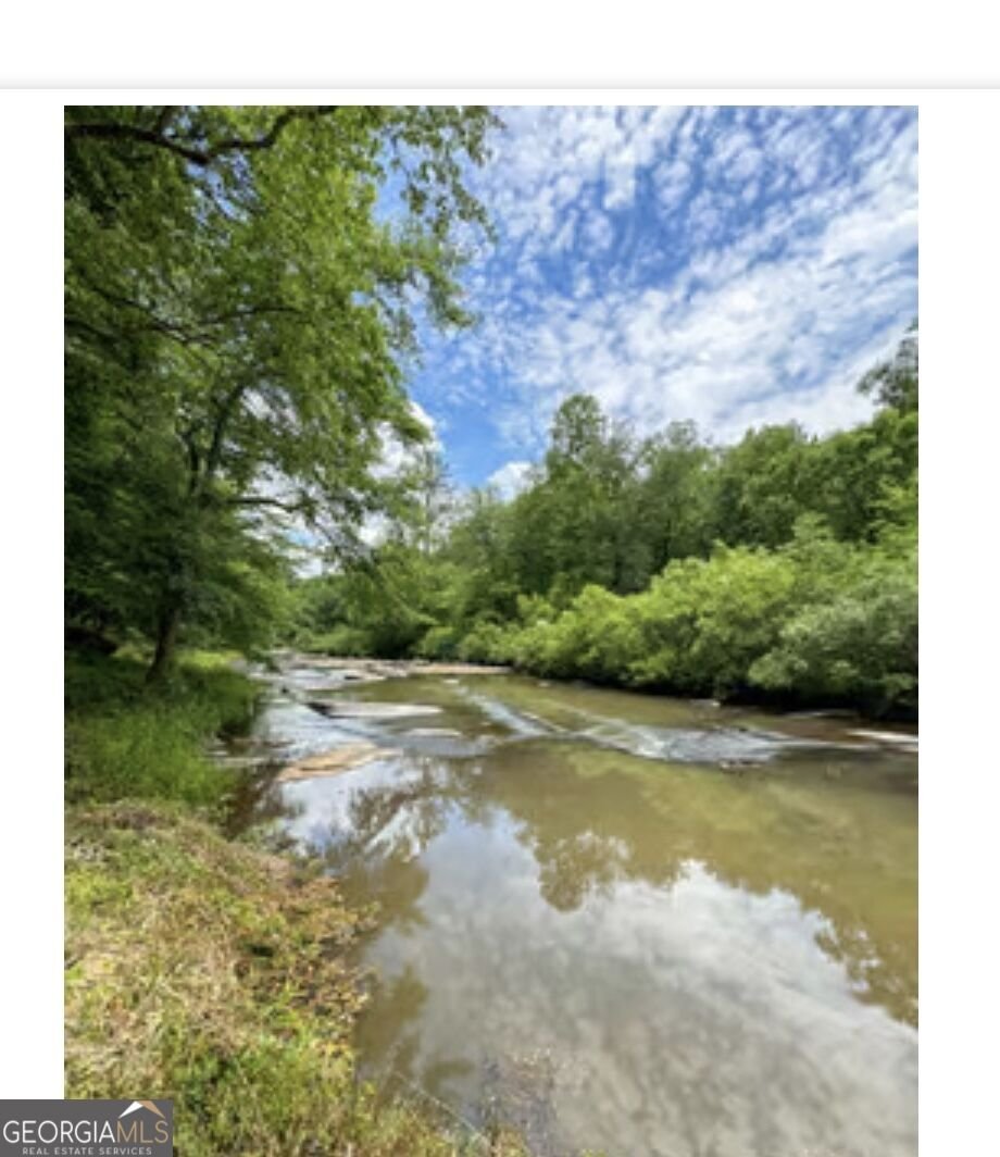 109 RIVER SHOAL 109 River Shoals Dr Forsyth - Photo 56