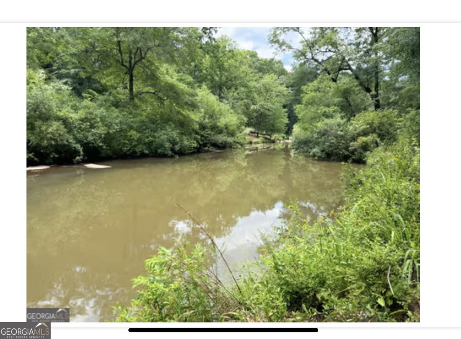 109 RIVER SHOAL 109 River Shoals Dr Forsyth - Photo 62