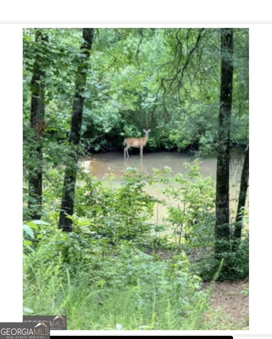 109 RIVER SHOAL 109 River Shoals Dr Forsyth - Photo 63