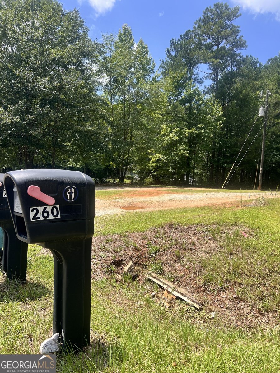 260 New Hope Drive McDonough - Photo 25