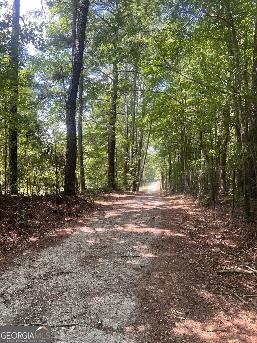 260 New Hope Drive McDonough - Photo 29