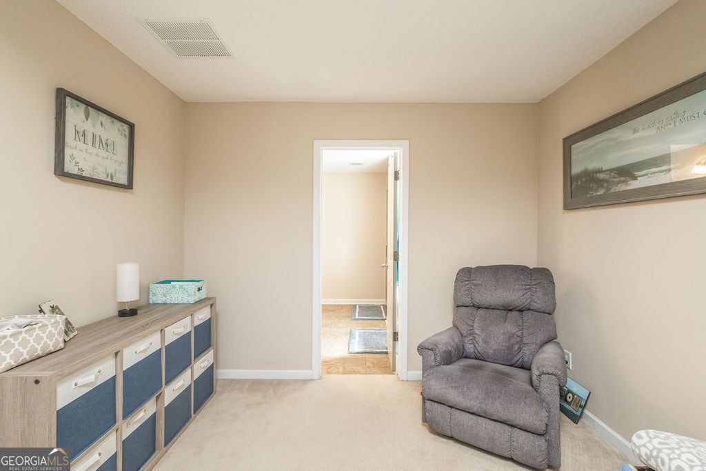 178 Brandish Drive Newnan - Photo 19
