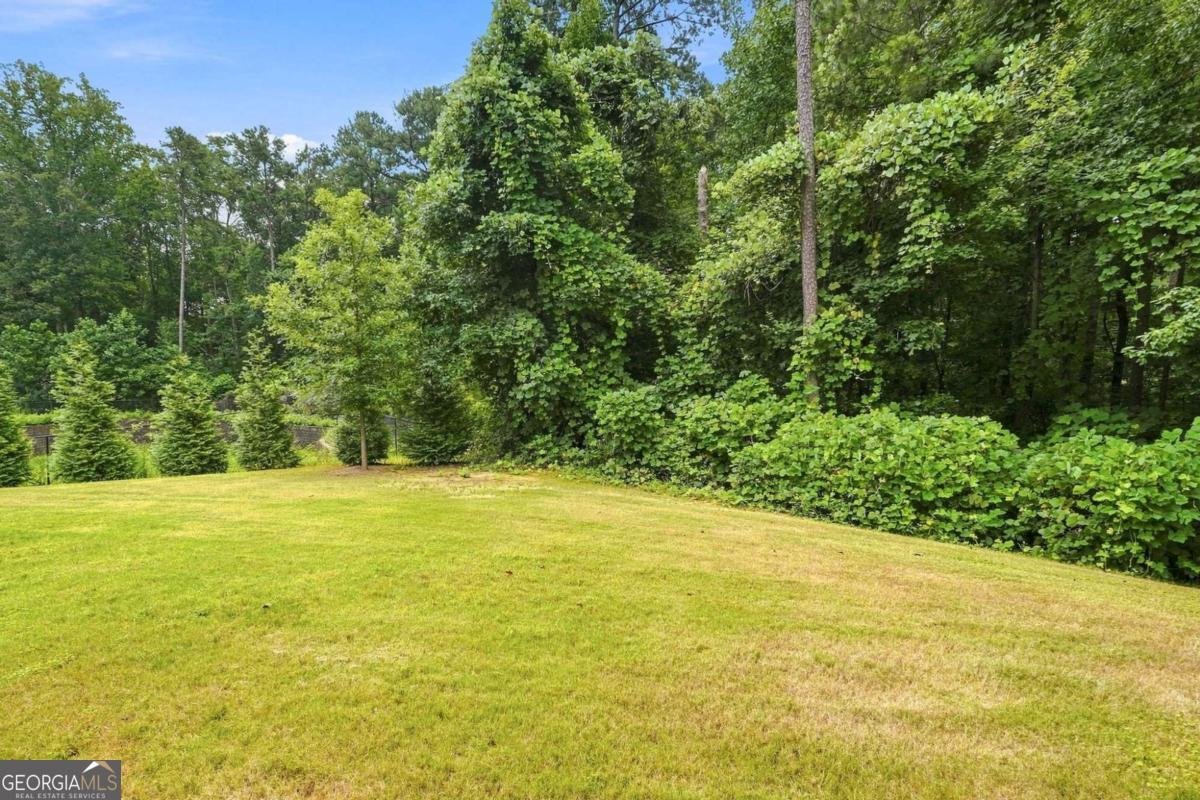 852 Marlay Lane Powder Springs - Photo 52