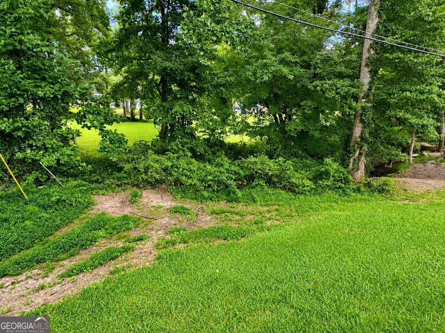 316 Carter Road Auburn - Photo 13