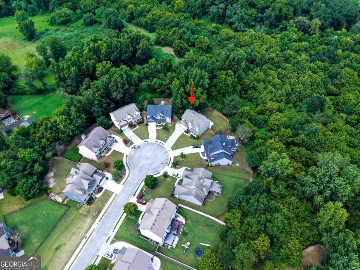 6240 Brookshire Court Braselton - Photo 46