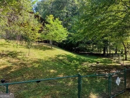 300 Chapman Lane Blairsville - Photo 37