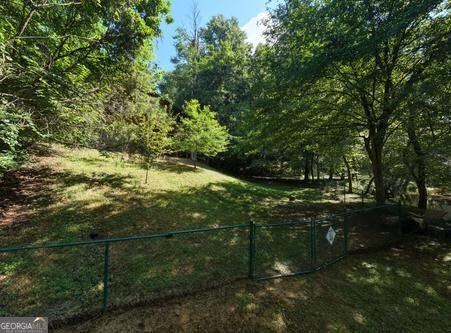 300 Chapman Lane Blairsville - Photo 38