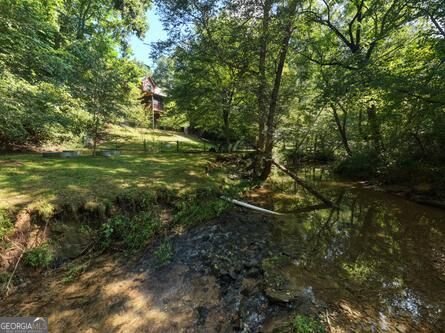 300 Chapman Lane Blairsville - Photo 40