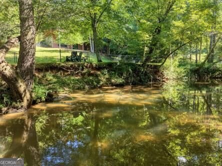300 Chapman Lane Blairsville - Photo 41