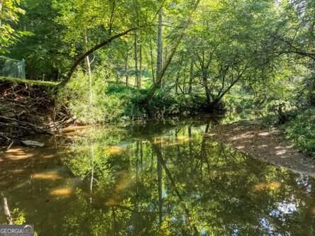 300 Chapman Lane Blairsville - Photo 42