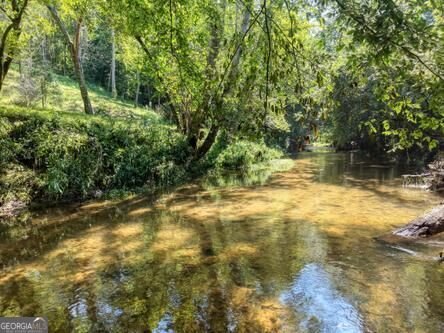 300 Chapman Lane Blairsville - Photo 43