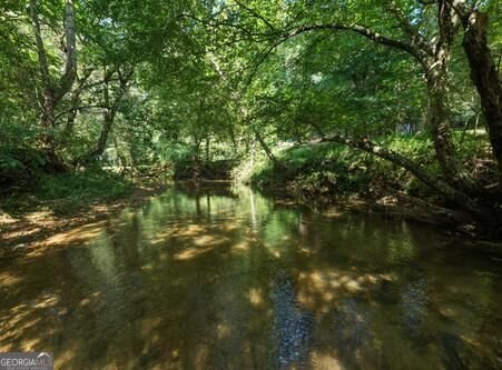 300 Chapman Lane Blairsville - Photo 44