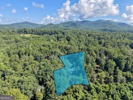 300 Chapman Lane Blairsville - Photo 45