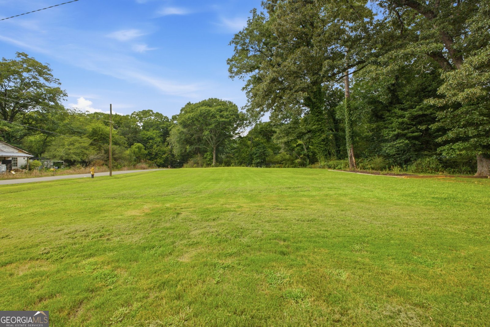 38 Nelson Street Silver Creek - Photo 41
